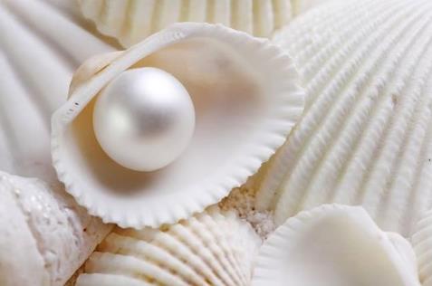 什么是珍珠?怎么辨别珍珠是真是假?如何判断珍珠的品质?