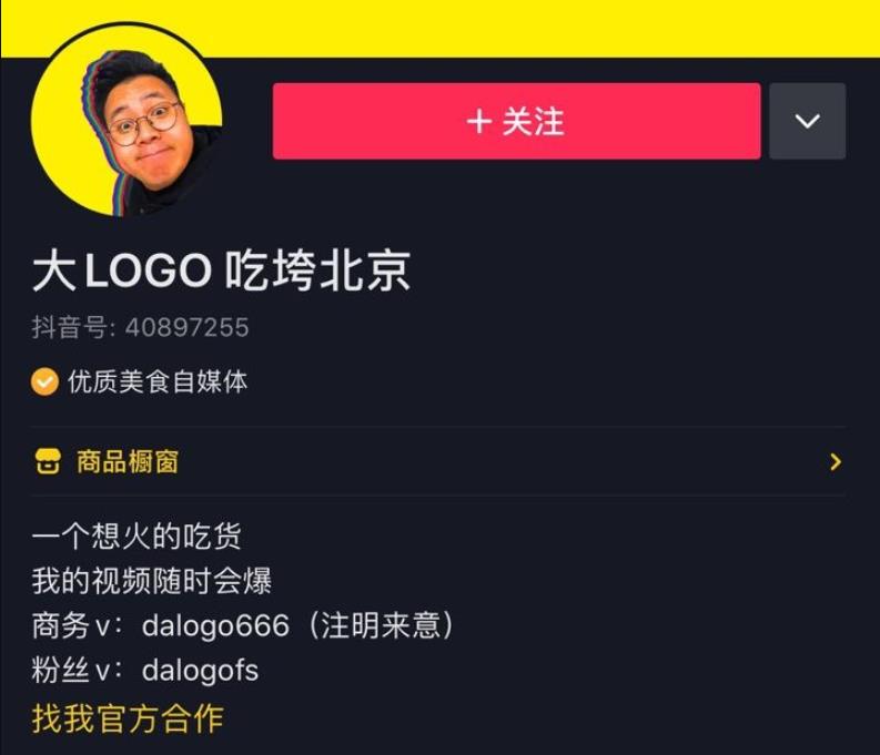 大LOGO真实身份：大LOGO吃垮北京哪来的钱