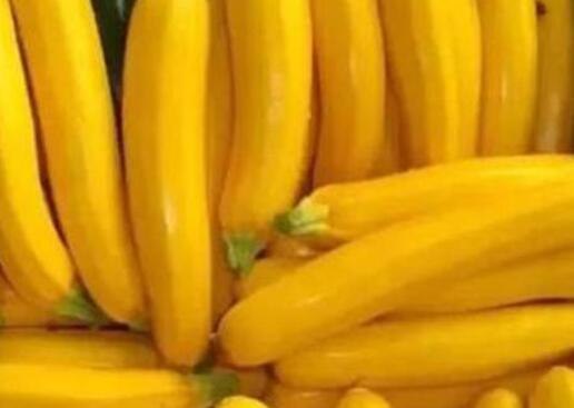 黄心香蕉和白心香蕉的区别