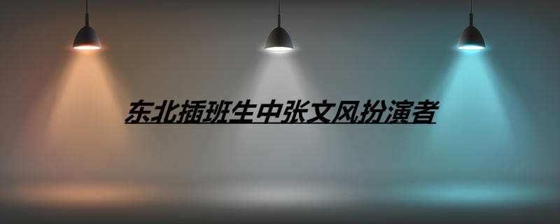 东北插班生中张文风扮演者