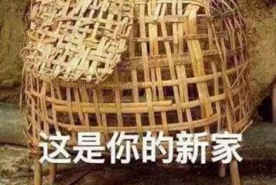 鸡笼警告是什么梗，将说话做事太骚气的人关进鸡笼