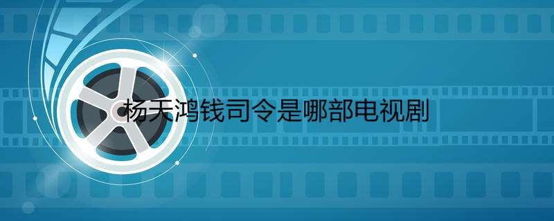 杨天鸿钱司令是哪部电视剧