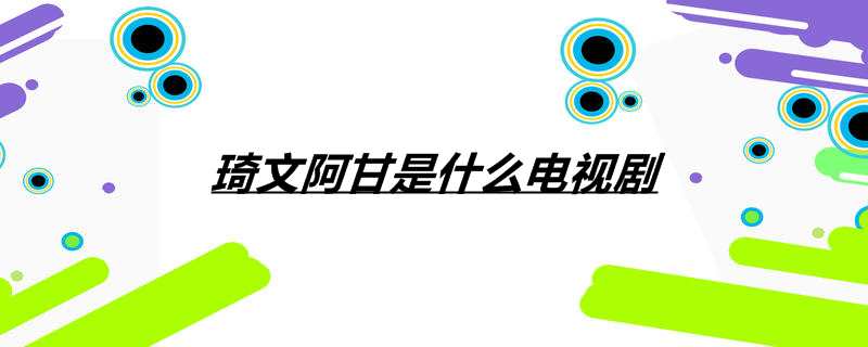 琦文阿甘是什么电视剧