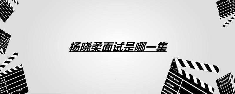 杨晓柔面试是哪一集