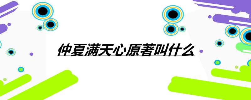 仲夏满天心原著叫什么