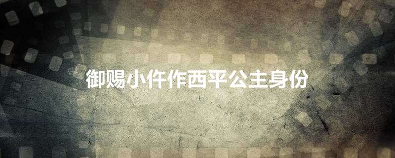御赐小仵作西平公主身份