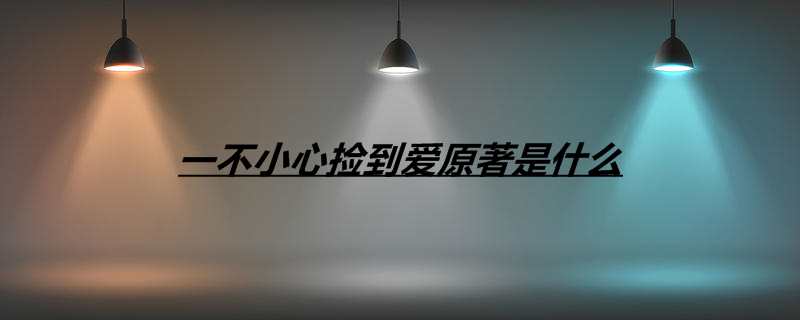 一不小心捡到爱原著是什么