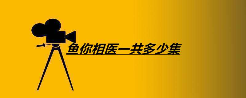 鱼你相医一共多少集