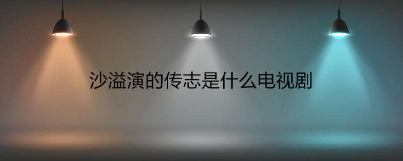 沙溢演的传志是什么电视剧