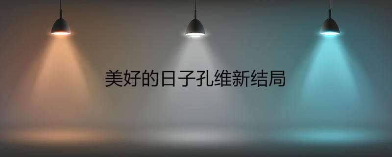美好的日子孔维新结局