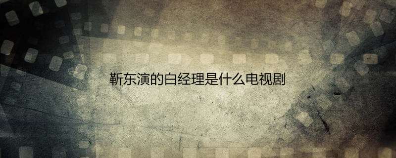 靳东演的白经理是什么电视剧