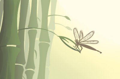 竹子开花意味着什么，异常出现意味着有人要去世