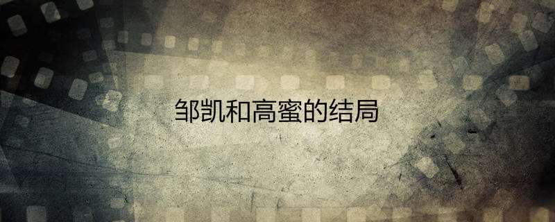 邹凯和高蜜的结局