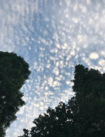 鱼鳞云有什么预兆，很有可能会短暂下雨