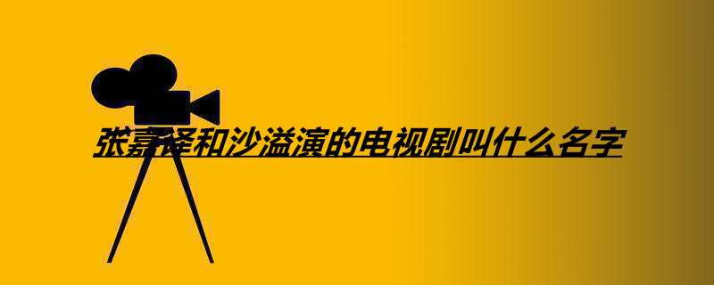 张嘉译和沙溢演的电视剧叫什么名字