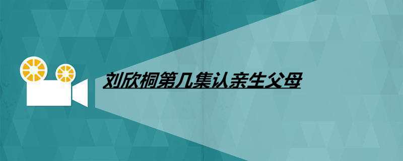 刘欣桐第几集认亲生父母