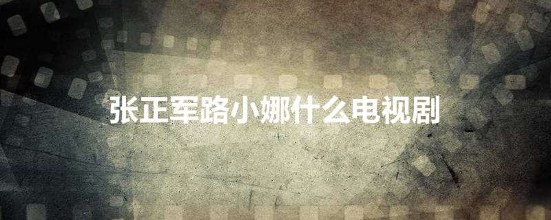 张正军路小娜什么电视剧