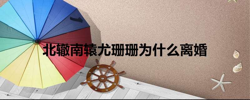 北辙南辕尤珊珊为什么离婚