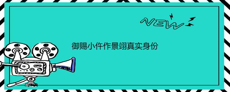 御赐小仵作景翊真实身份