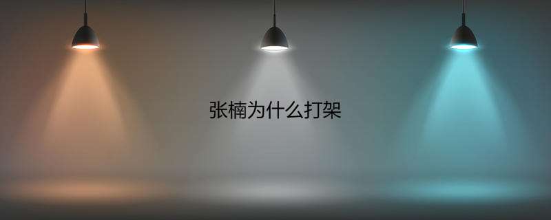 张楠为什么打架