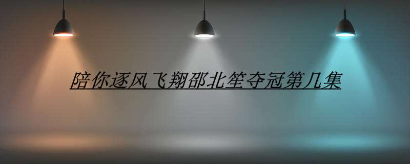 陪你逐风飞翔邵北笙夺冠第几集