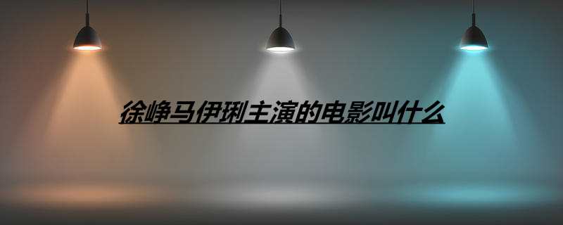 徐峥马伊琍主演的电影叫什么