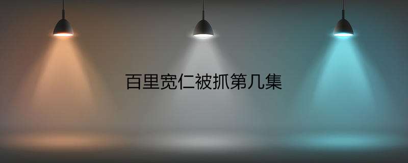 百里宽仁被抓第几集