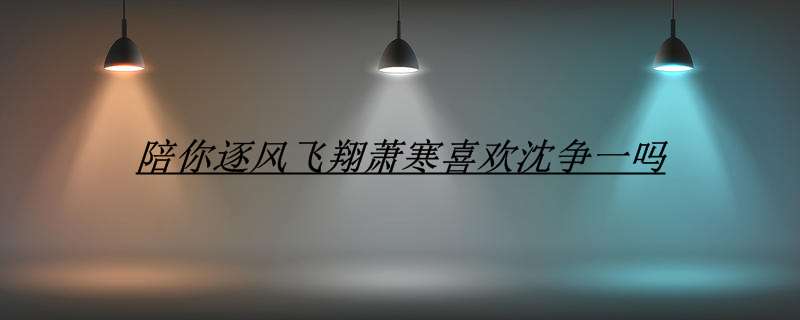 陪你逐风飞翔萧寒喜欢沈争一吗