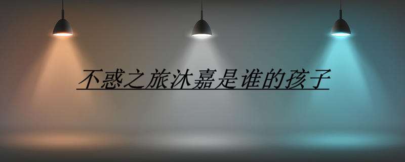 不惑之旅沐嘉是谁的孩子