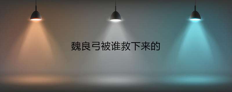 魏良弓被谁救下来的