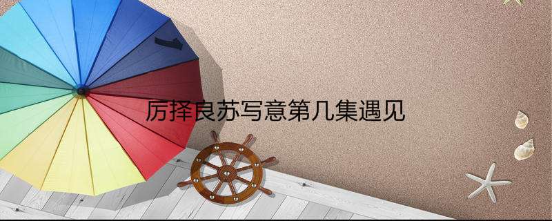 厉择良苏写意第几集遇见