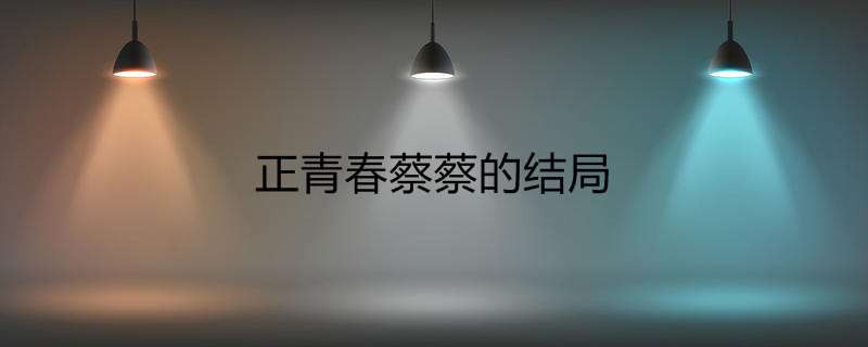 正青春蔡蔡的结局