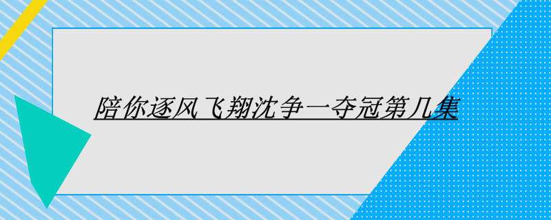 陪你逐风飞翔沈争一夺冠第几集