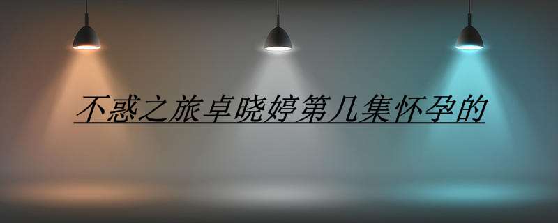 不惑之旅晓婷离婚了吗