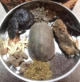 龟苓膏是乌龟做的吗，以乌龟壳和土茯苓作为主要原料制成