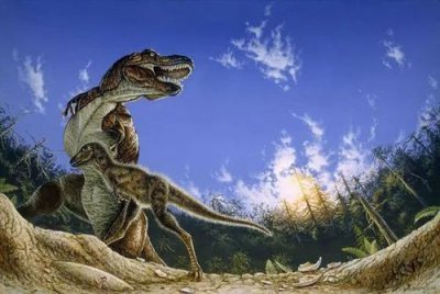 中国发现了一只活恐龙是真的吗，琥珀中发现恐龙真身残骸