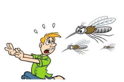 什么血型招蚊子，o型血的人是最容易被蚊虫叮咬的