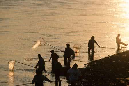 农村河里常见的十种鱼盘点，河里捞的鱼怎么养？