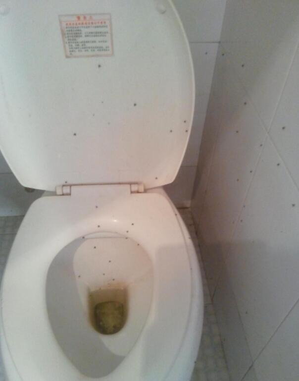 厕所里的小飞虫叫蛾蚋，蛾蚋消灭最有效的方法来了