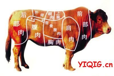 一头牛的牛肉怎么分部位？雪花牛肉是牛的哪部位