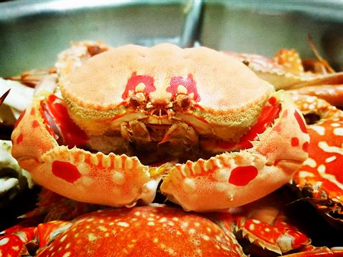 大闸蟹的蟹黄和蟹膏的区别，怎么蒸大闸蟹不漏蟹黄蟹膏？