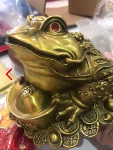 金蟾摆放的最佳方向图 三足金蟾最忌讳什么