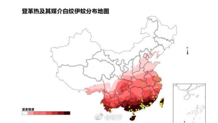 白纹伊蚊咬的包图片，伊蚊在中国的分布情况是怎样的？