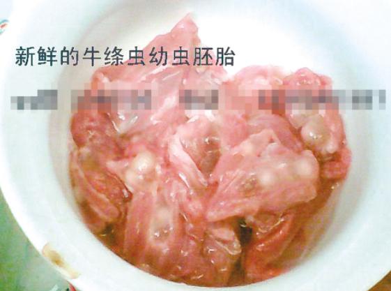牛带绦虫图片，怎么判断得了牛带绦虫？怎么可以杀死