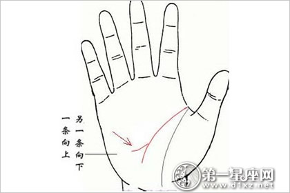 什么手相的男人财运好？旺财运手相的人注定有钱