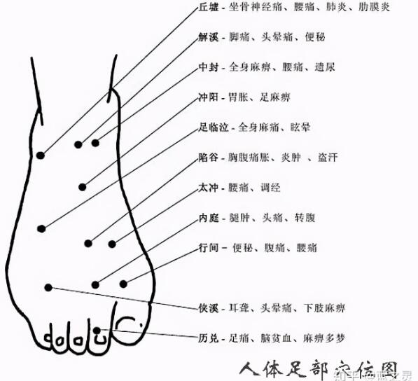 脚的各个部位详细图，脚底脚面反射区图解示意图