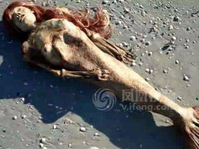 美国海滩惊现美人鱼尸体，美人鱼是怎么生孩子的？