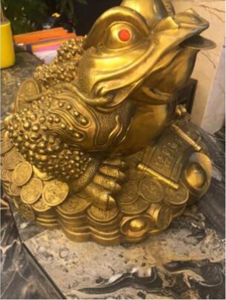 金蟾摆放的最佳方向图 三足金蟾最忌讳什么