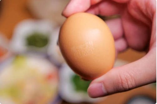 无菌蛋真的没有细菌吗？无菌蛋和普通蛋有什么区别