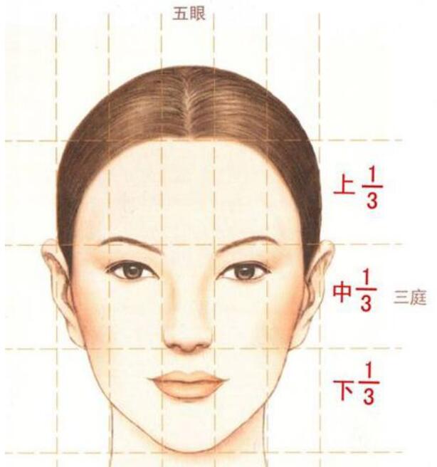标准美女脸比例是怎样的，标准美女脸型测量方法介绍